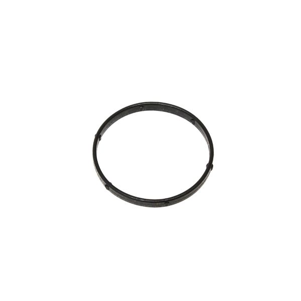 Image of Thermostat Housing O Ring (54mm diameter) (4024557AM)