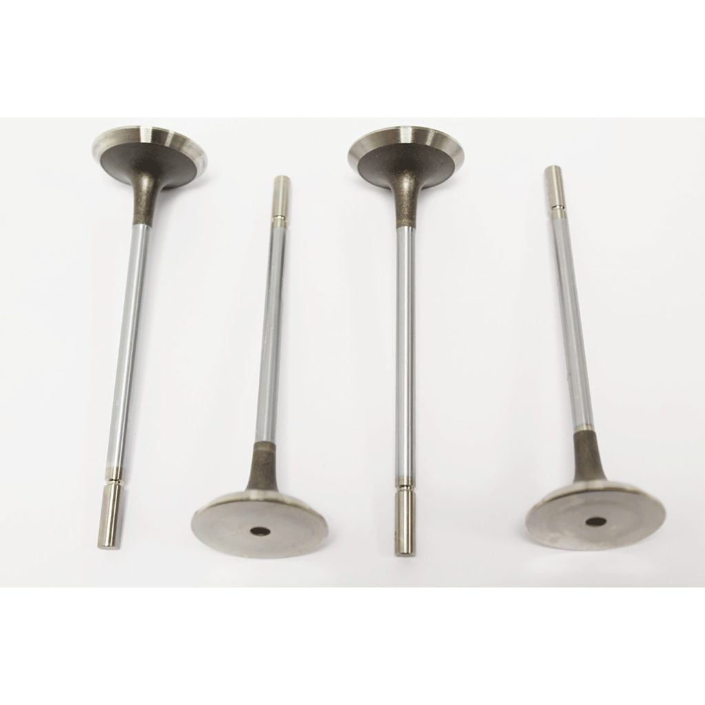 Image of Exhaust Valve (4646004AM)