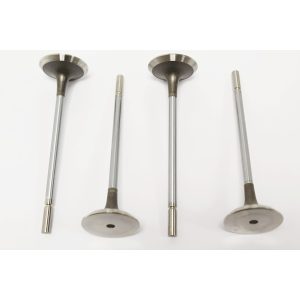 Image of Exhaust Valve (4646004AM)