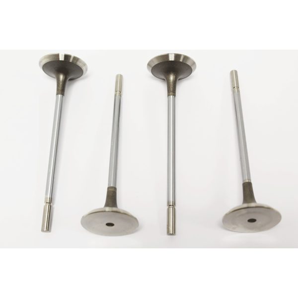 Image of Exhaust Valve (4646004AM)