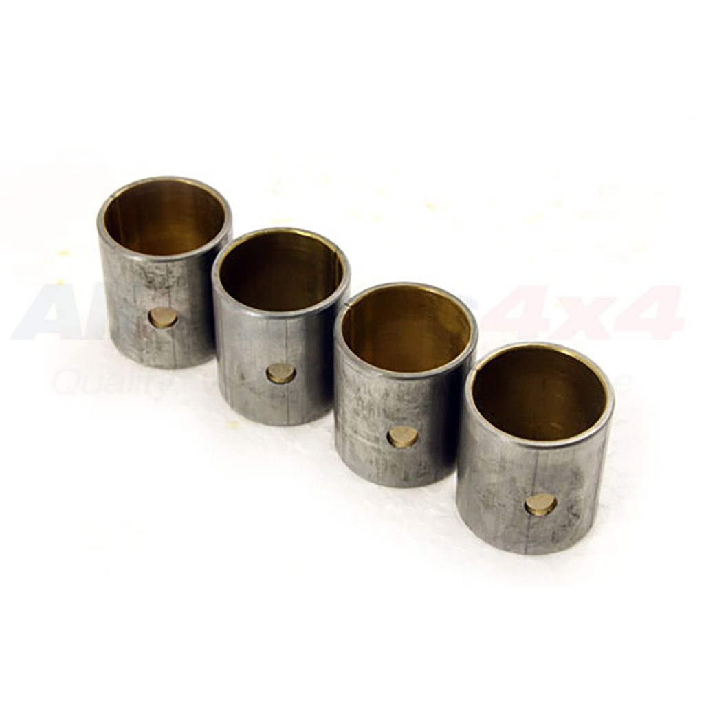 Image of Little End Bush (528004AM)