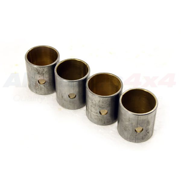 Image of Little End Bush (528004AM)