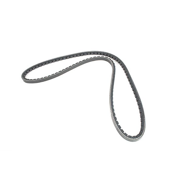 Image of Fan Belt (563132OEM)