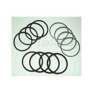 Image of Brake Caliper Repair Kit (front) seals only no pistons (AEU2539OEM)