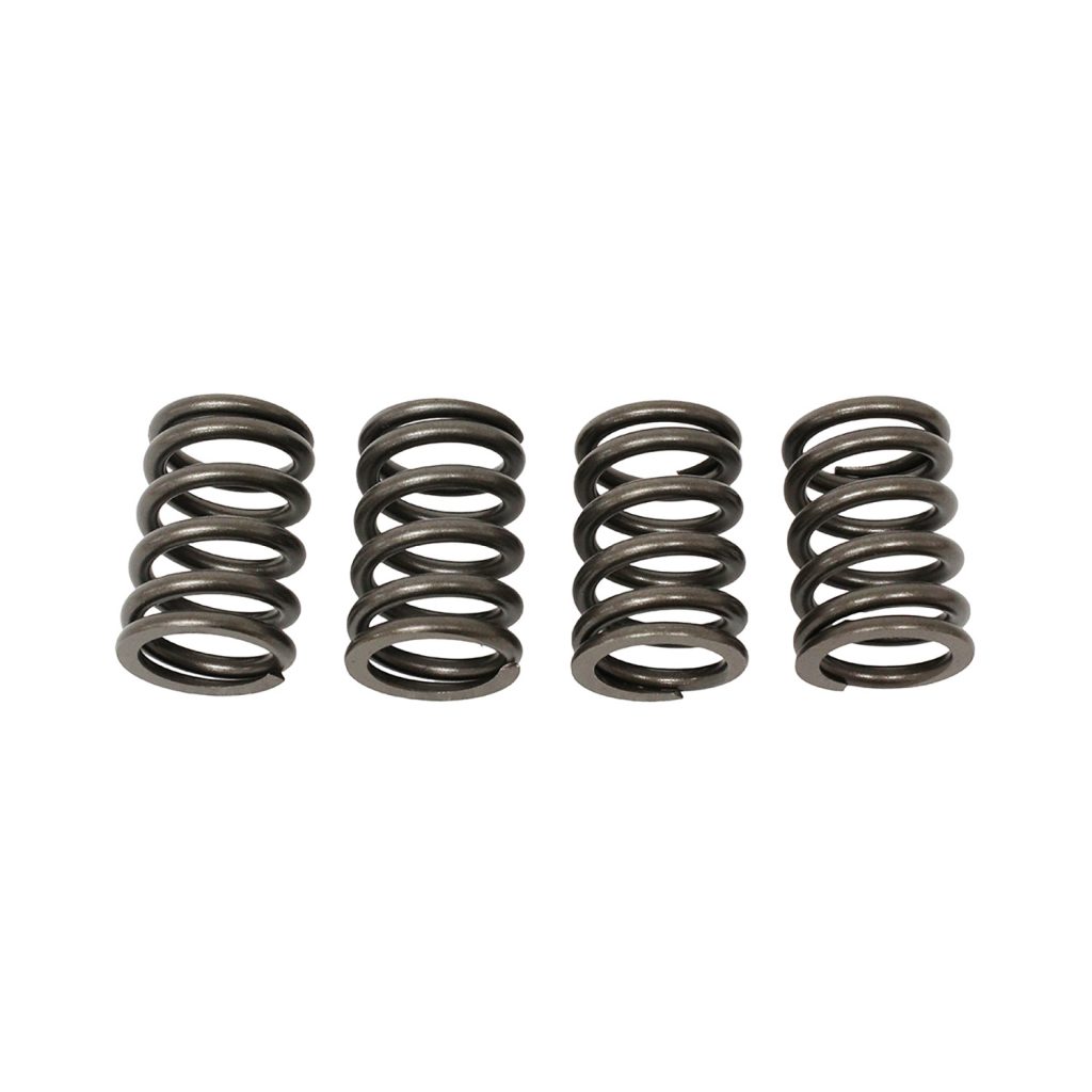 Image of Valve Spring (ERR4640OEM)