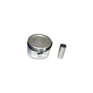 Image of Piston (with rings and gudgeon pin) Standard (ERR5553AM)