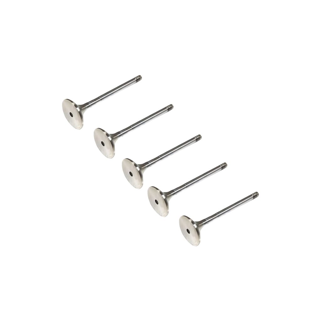 Image of Exhaust Valve (ERR6612AM)