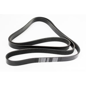 Image of Alternator Drive Belt (ERR6896AM)