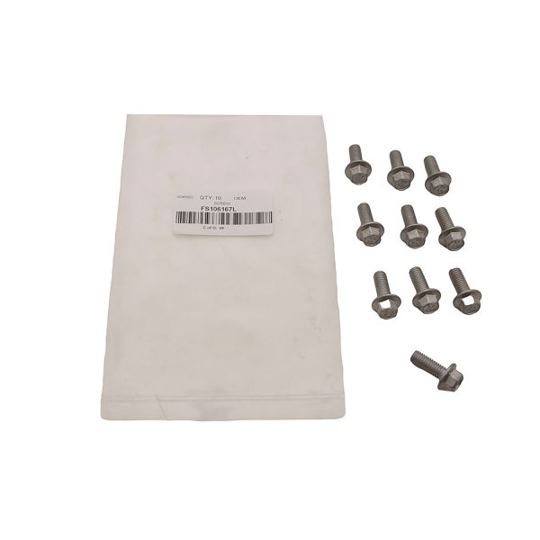 Image of Camshaft Bolt (M6 x 16mm) (FS106167AM)