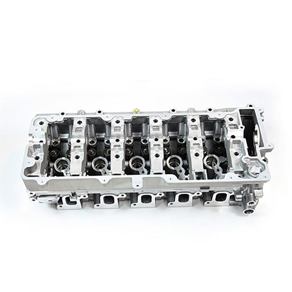 Image of Cylinder Head (LDF500170AM)