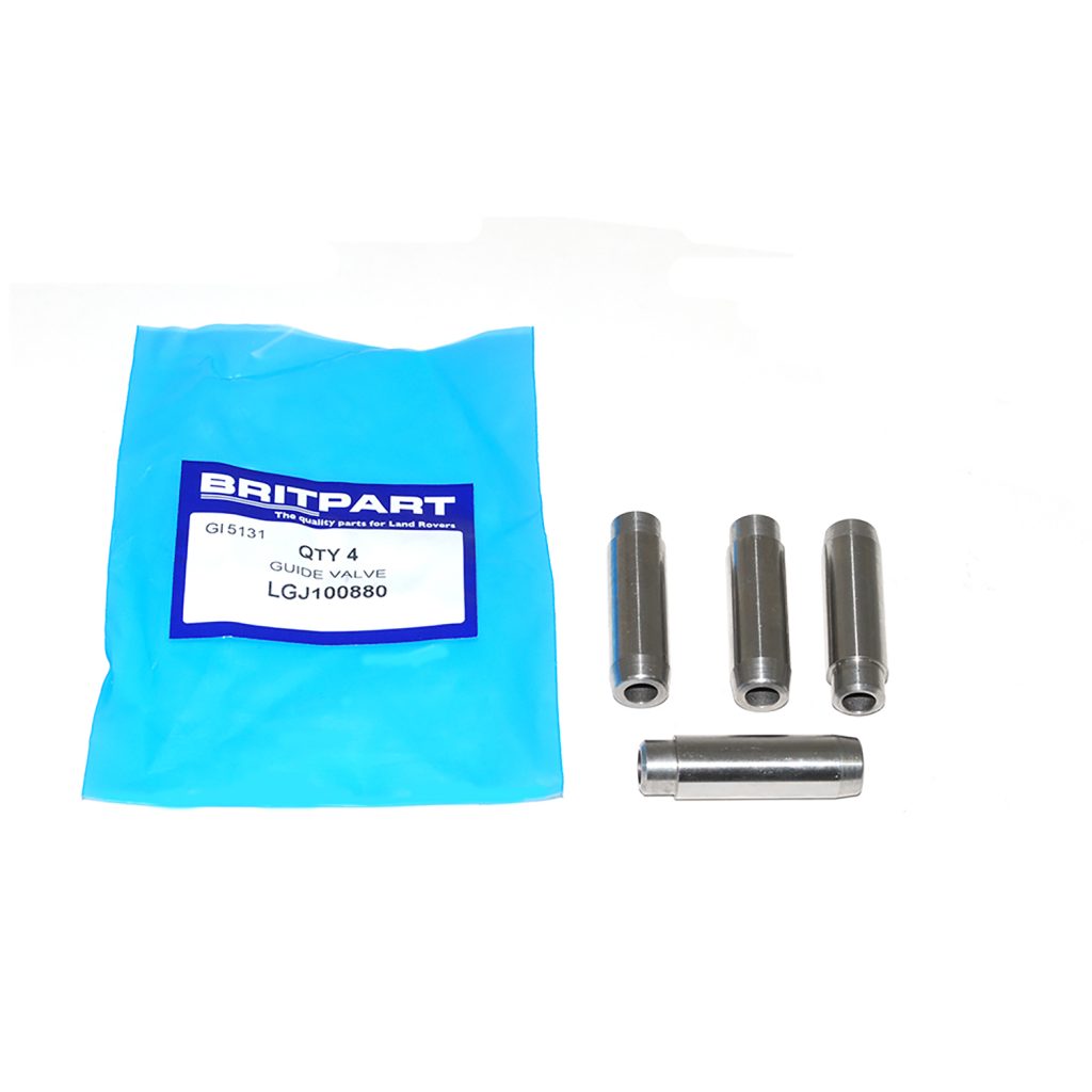 Image of Valve Guides (LGJ100880AM)