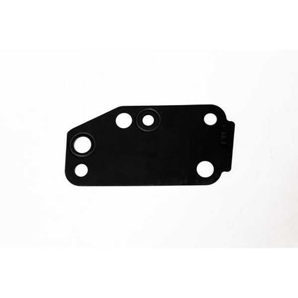 Image of Water Pump Gasket (LR004389AM)