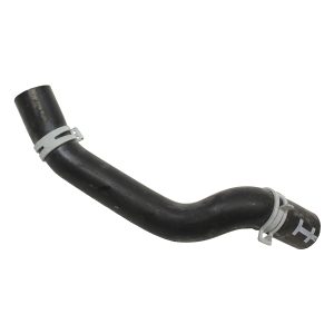 Image of Cooling Hose (manifold to water pump) (LR004628AM)