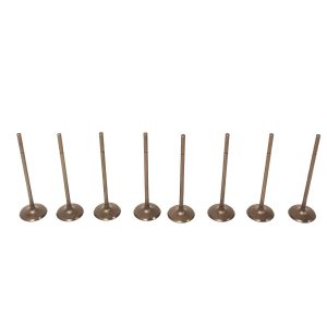 Image of Inlet Valve (LR010863AM)