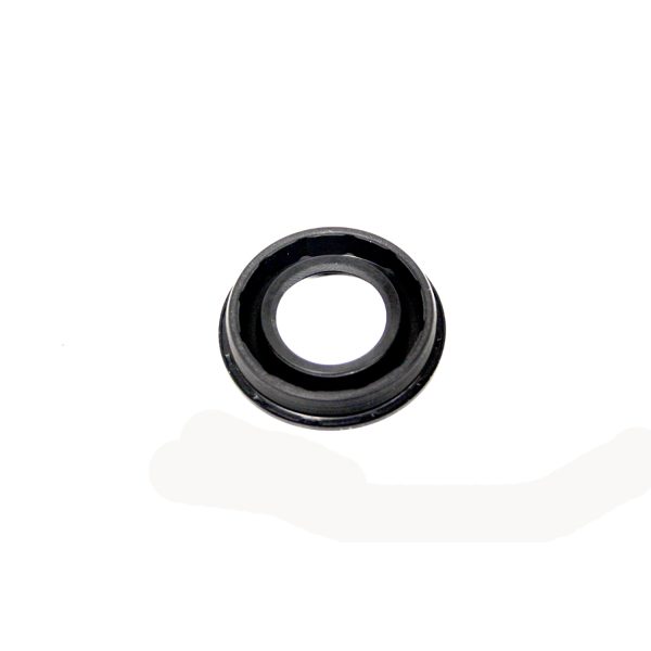 Image of Fuel Injector Retainer (grommet) (LR019663OEM)