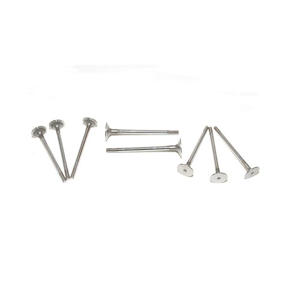 Image of Inlet Valve (LR032065OEM)