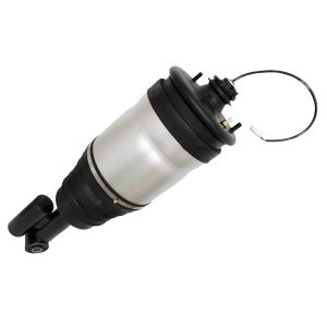Image of Air Suspension Spring and Shock Absorber (rear) Left Hand (LR032651PR)