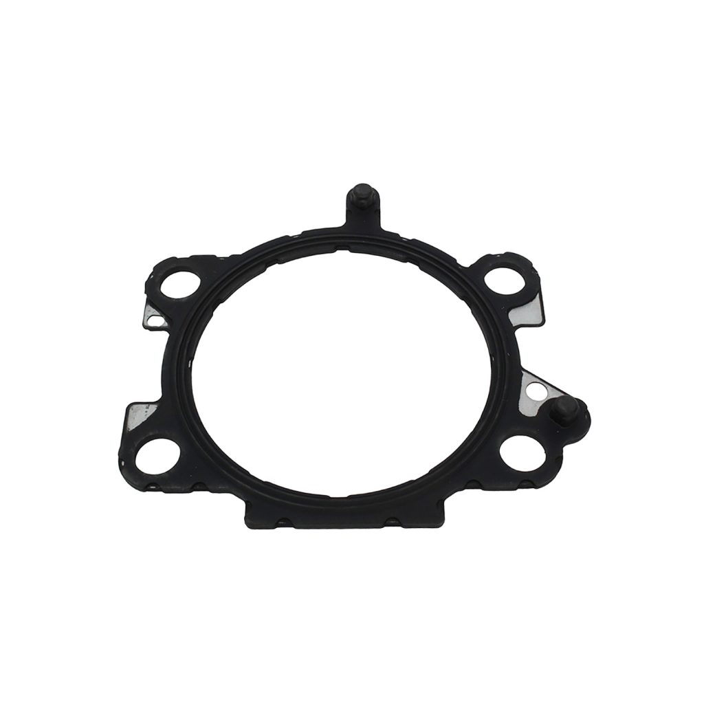 Image of Throttle Body Seal (LR048165AM)