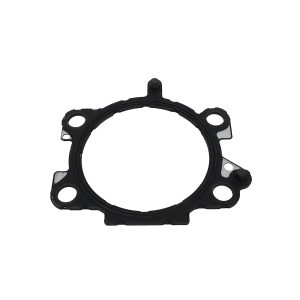 Image of Throttle Body Seal (LR048165AM)