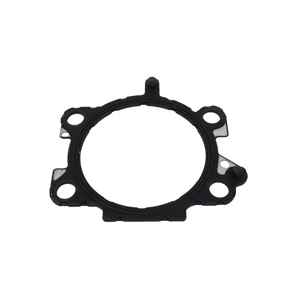 Image of Throttle Body Seal (LR048165AM)