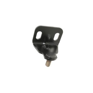 Image of Check Strap Bracket (LR079274AM)