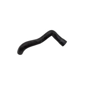 Image of Bottom Hose (NTC3543AM)