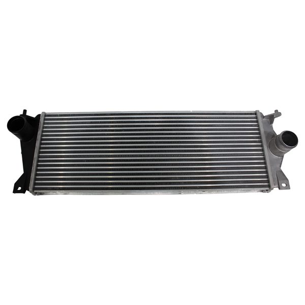 Image of Intercooler (PCM100220AM)