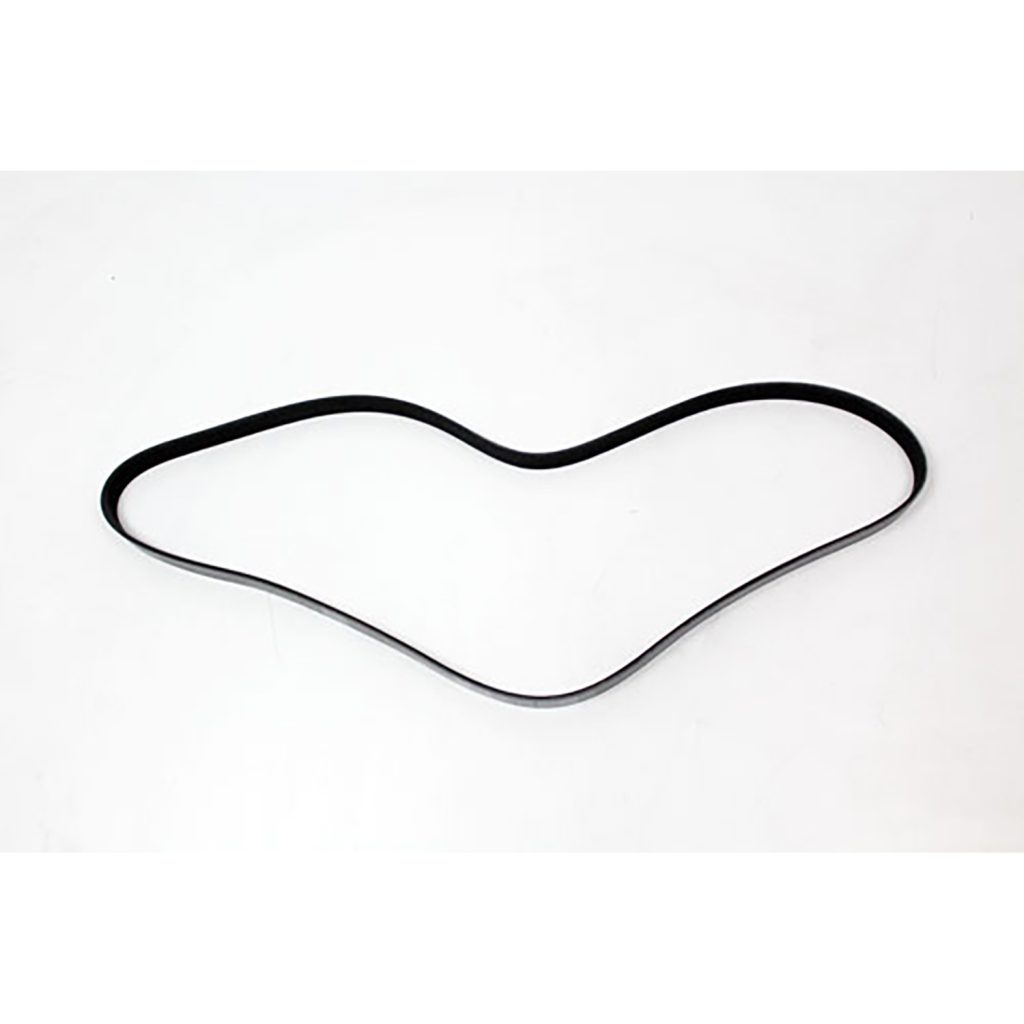 Image of Polyvee Drive Belt (PQS100900AM)