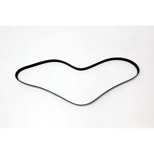 Image of Polyvee Drive Belt (PQS100900AM)