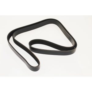 Image of Alternator Drive Belt (PQS101510AM)