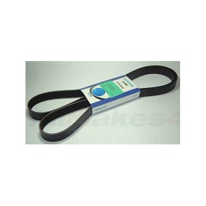 Image of Alternator Drive Belt (PQS101510OEM)