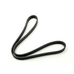 Image of Auxiliary Drive Belt (secondary) (PQS500241OEM)