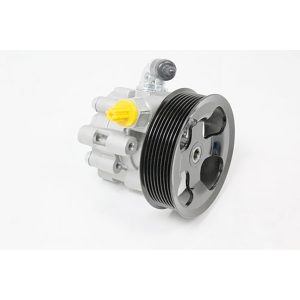 Image of Power Steering Pump (QVB500400AM)