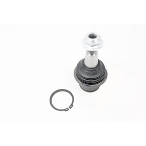 Image of Ball Joint (lower arm) (RBK500300OEM)