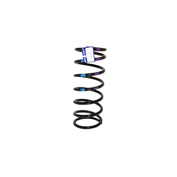 Image of Coil Spring (REB000320AM)