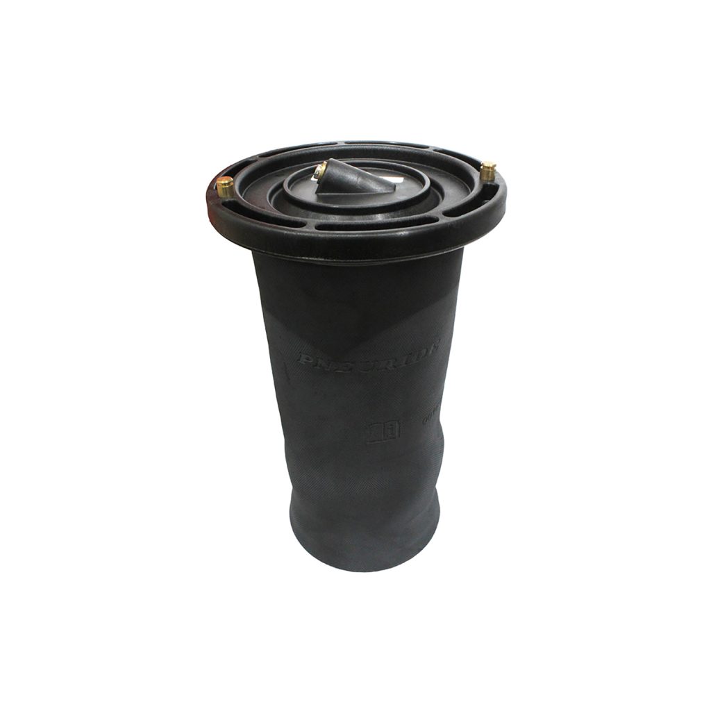 Image of Air Suspension Spring Assembly (RKB101200AM)