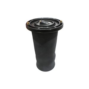 Image of Air Suspension Spring Assembly (RKB101200AM)