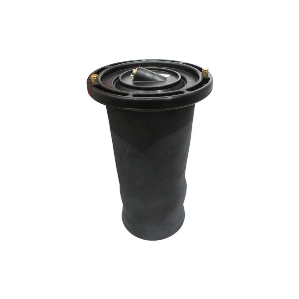 Image of Air Suspension Spring Assembly (RKB101200AM)