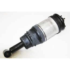 Image of Air Spring and Shock Absorber Assembly (rear) (RPD501090OEM)