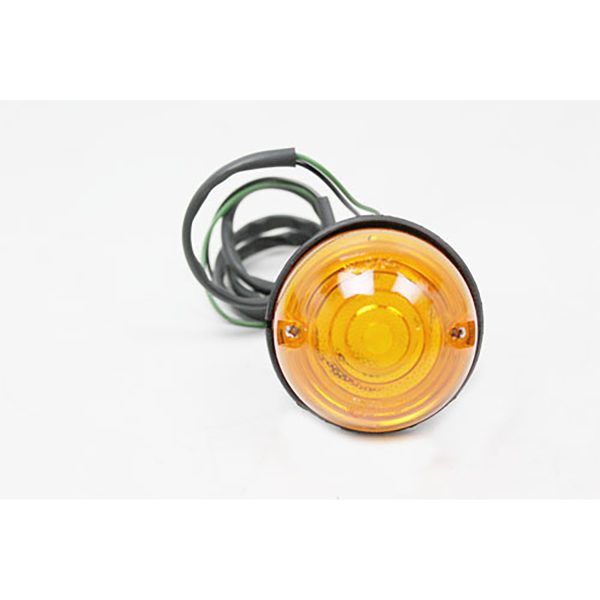 Image of Rear Indicator lamp (RTC5524OEM)
