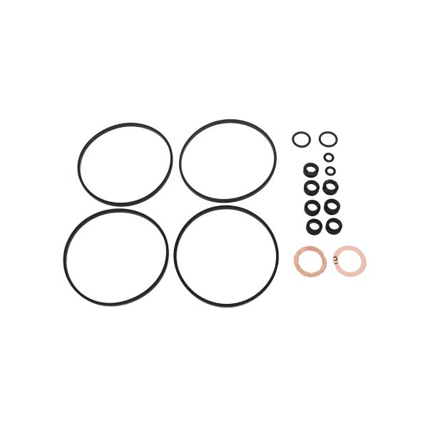 Image of Carburettor Overhaul Service Kit (RTC6072AM)