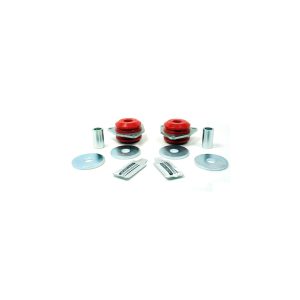 Image of Rear Radius Arm Bush Kit (chassis end set of 2) (TF1004)