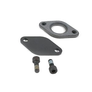 Image of EGR Removal Kit (TFEGR300)