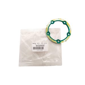 Image of Fuel Pump Gasket (WGQ000020AM)