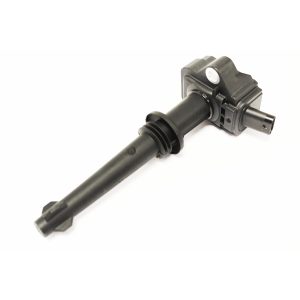 Image of Ignition Coil (LR010687AM)
