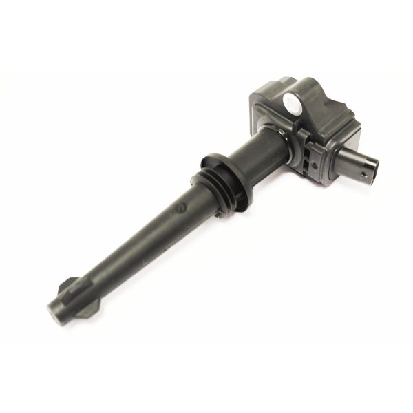 Image of Ignition Coil (LR010687AM)