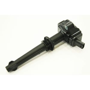 Image of Ignition Coil (LR010687OEM)