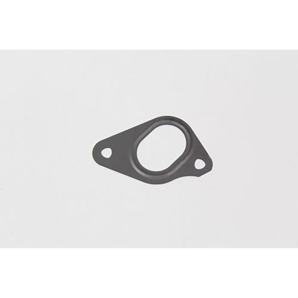 Image of Water Pump Gasket (LR049370AM)