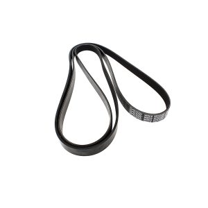 Image of Auxiliary Drive Belt (primary) (LR190101OEM)