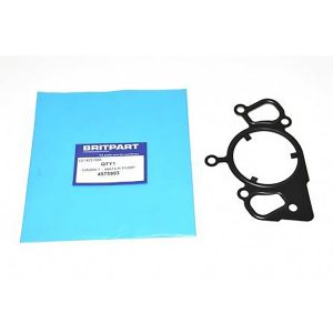 Image of Water Pump Gasket (4575903AM)